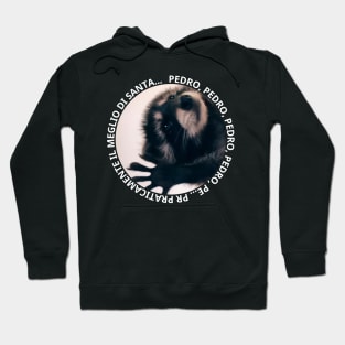 PEDRO, PEDRO, PEDRO, PEDRO, PE... PR PRATICAMENTE Hoodie